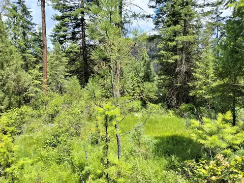 Exterior - 746 Tami Dr E, Superior, MT 59872 photo 6 of 16