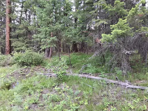 Exterior - 746 Tami Dr E, Superior, MT 59872 photo 13 of 16