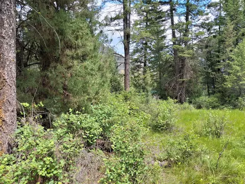 Exterior - 746 Tami Dr E, Superior, MT 59872 photo 8 of 16