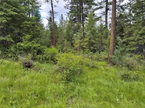 Exterior - 746 Tami Dr E, Superior, MT 59872 photo 3 of 16
