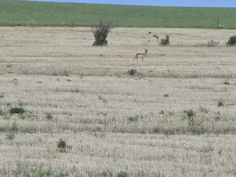 Nhn 5th Nw, Choteau, MT 59422