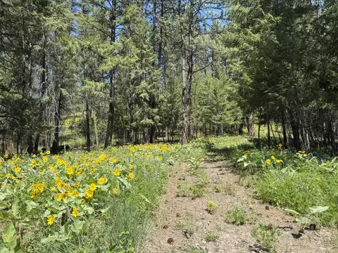 Other - 15650 Ruby Ray Ln, Huson, MT 59846 photo 14 of 20