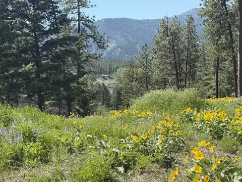Other - 15650 Ruby Ray Ln, Huson, MT 59846 photo 15 of 20