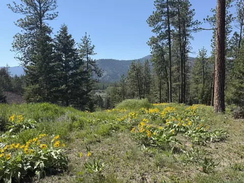 Other - 15650 Ruby Ray Ln, Huson, MT 59846 photo 2 of 20