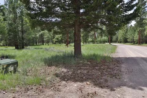 Other - 4587 Patterson Loop, Lincoln, MT 59639 photo 6 of 8