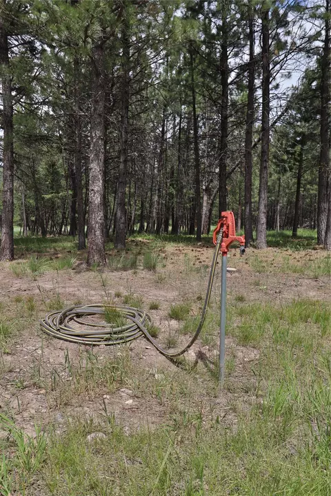 Other - 4587 Patterson Loop, Lincoln, MT 59639 photo 7 of 8