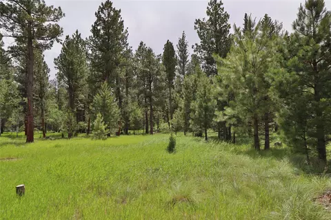 Exterior - 4587 Patterson Loop, Lincoln, MT 59639 photo 4 of 10