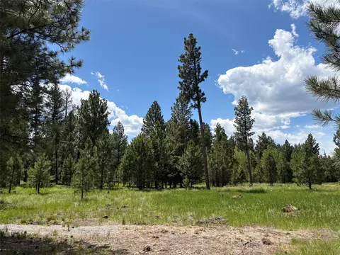 Exterior - 4587 Patterson Loop, Lincoln, MT 59639 photo 3 of 10