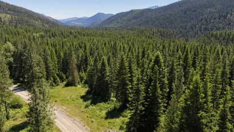 4577 Quartz Creek Rd, Libby, MT 59923
