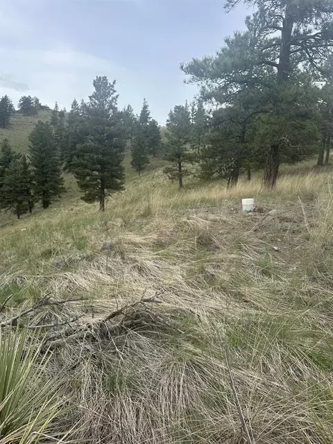 Other - 153 Cooper Dr, Cascade, MT 59421 photo 11 of 15