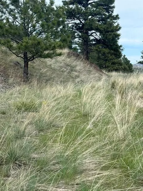 Other - 153 Cooper Dr, Cascade, MT 59421 photo 9 of 15
