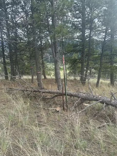 Other - 153 Cooper Dr, Cascade, MT 59421 photo 12 of 15