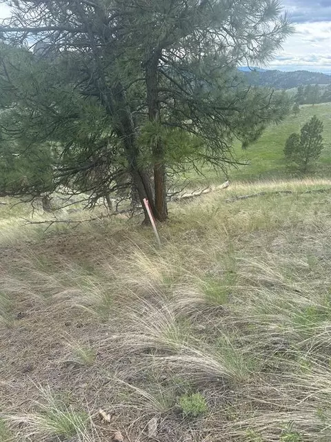 Other - 153 Cooper Dr, Cascade, MT 59421 photo 13 of 15