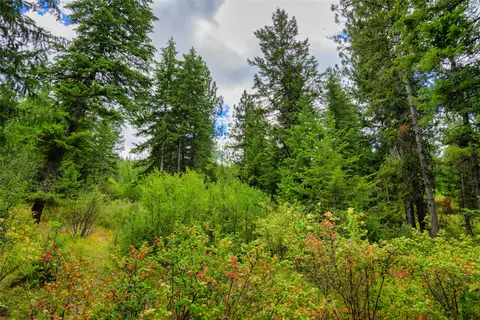lot1 Bighorn Bluff Rd, Plains, MT 59859