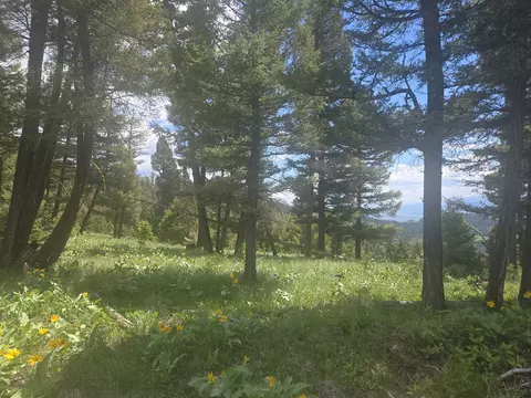 2 Big Sky Ridge Rd, Drummond, MT 59832