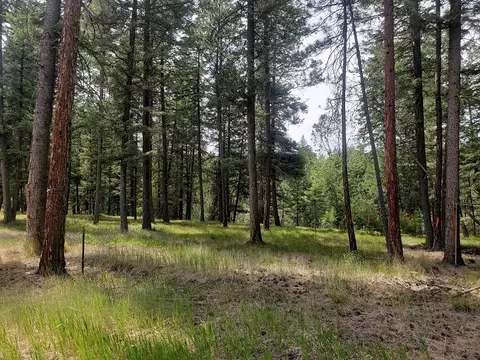19425 Pond Rd, Frenchtown, MT 59834