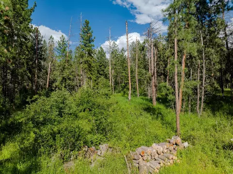 Exterior - 42439 Canal Rd, Ronan, MT 59864 photo 15 of 16