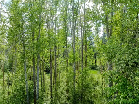 View/Area - 42439 Canal Rd, Ronan, MT 59864 photo 8 of 11