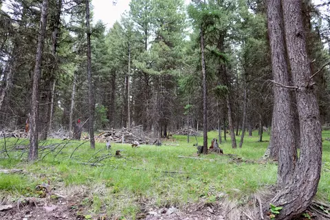 1016 Grandview Dr, Seeley Lake, MT 59868