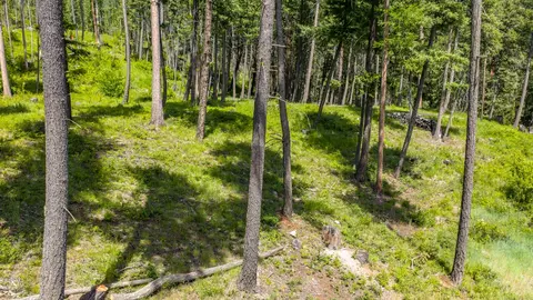 Other - 3621 E Lakeshore Dr, Whitefish, MT 59937 photo 14 of 15