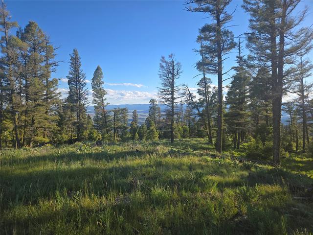 1 Big Sky Ridge Rd, Drummond, MT 59832
