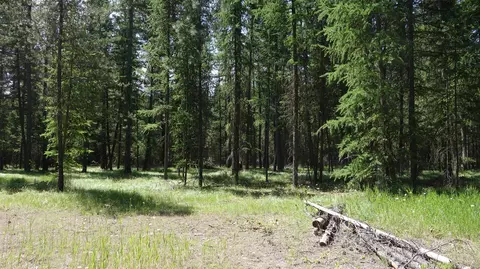 00 Skyline Way, Libby, MT 59923 photo 5