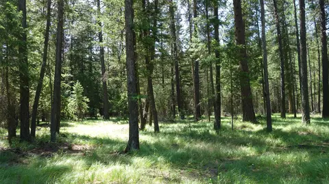 00 Skyline Way, Libby, MT 59923 photo 7