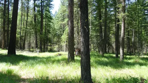 00 Skyline Way, Libby, MT 59923