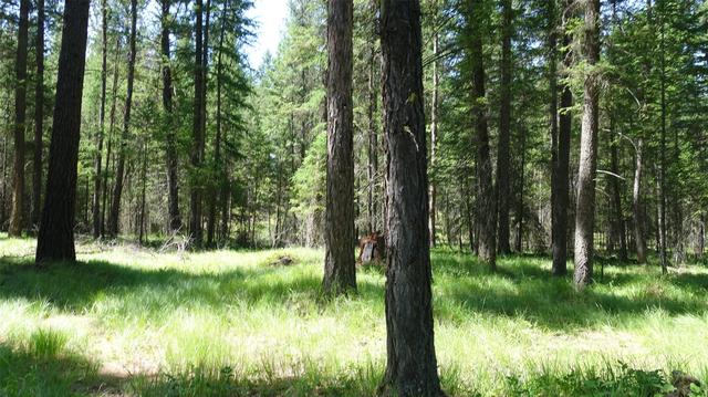 00 Skyline Way, Libby, MT 59923