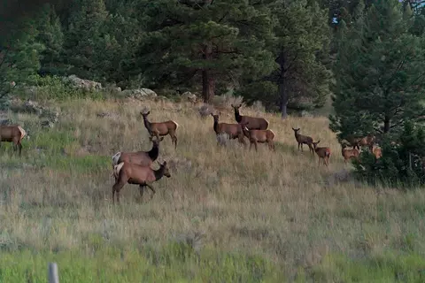 Other - 20 Juniper Ln, Clancy, MT 59634 photo 14 of 15
