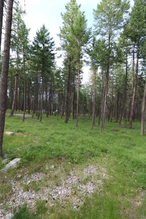 Other - 132 Squirrel Ln, Whitefish, MT 59937 photo 12 of 12