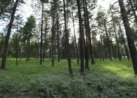 Other - 132 Squirrel Ln, Whitefish, MT 59937 photo 1 of 12