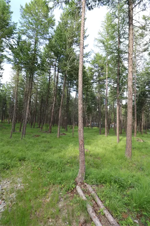 Other - 132 Squirrel Ln, Whitefish, MT 59937 photo 11 of 12