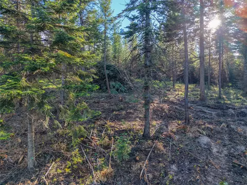 lot11 Panoramic View Dr, Libby, MT 59923 photo 29