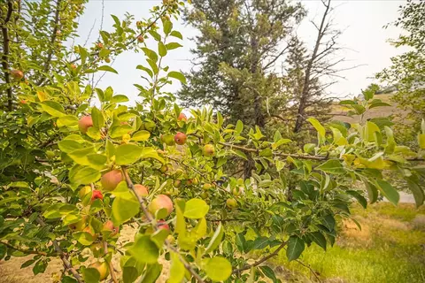 107 White Eagle Dr, Eureka, MT 59917 photo 41