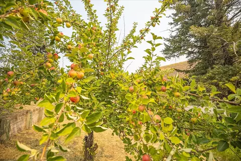 107 White Eagle Dr, Eureka, MT 59917 photo 40