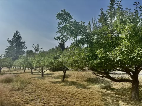 107 White Eagle Dr, Eureka, MT 59917 photo 56