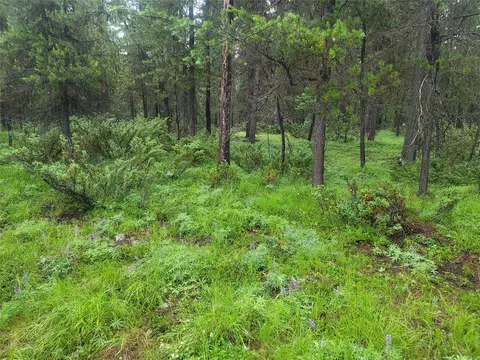 104 Lone Wolf Trl, Yaak, MT 59935