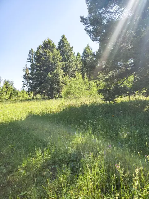Other - tbd Upper Deep Crk, Townsend, MT 59644 photo 16 of 18