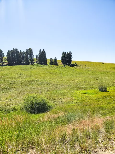 Other - tbd Upper Deep Crk, Townsend, MT 59644 photo 11 of 18