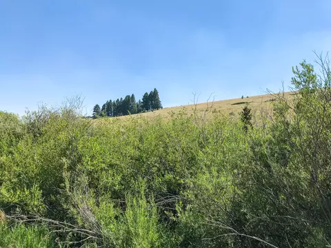 Other - tbd Upper Deep Crk, Townsend, MT 59644 photo 2 of 18