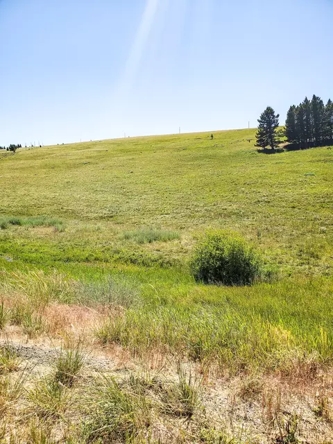 Other - tbd Upper Deep Crk, Townsend, MT 59644 photo 10 of 18