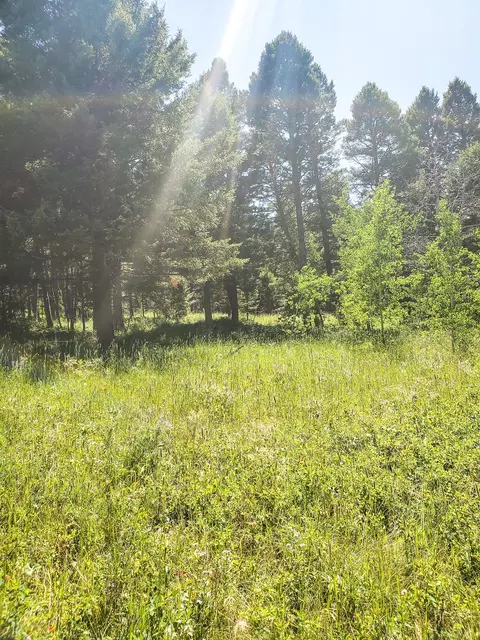 Exterior - tbd Upper Deep Crk, Townsend, MT 59644 photo 1 of 1