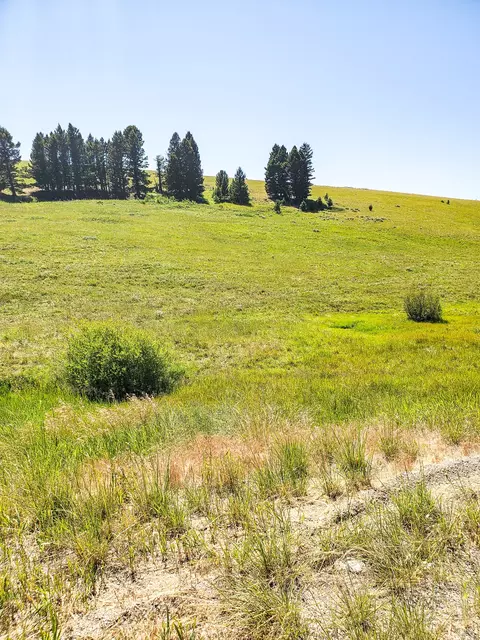 Other - tbd Upper Deep Crk, Townsend, MT 59644 photo 13 of 18