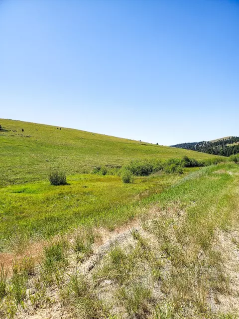 Other - tbd Upper Deep Crk, Townsend, MT 59644 photo 12 of 18