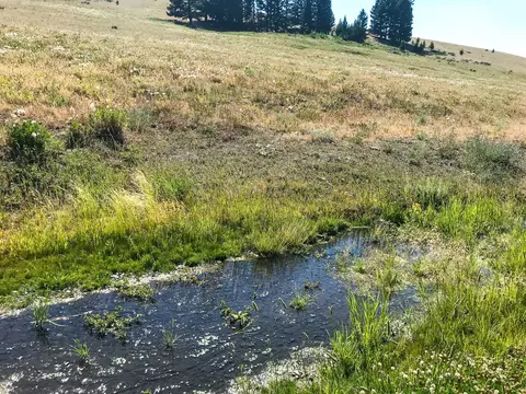 Other - tbd Upper Deep Crk, Townsend, MT 59644 photo 8 of 18