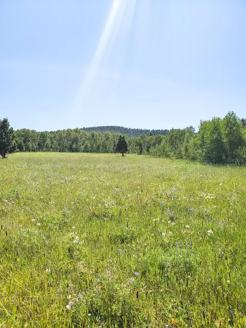Other - tbd Upper Deep Crk, Townsend, MT 59644 photo 17 of 18