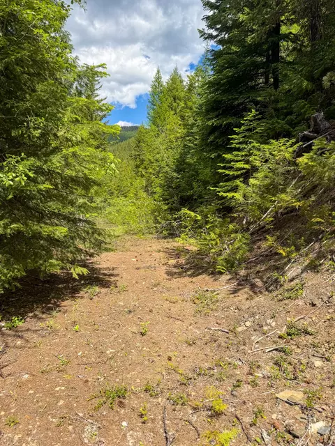 Tract 1 Pardee Flat Road, Superior, MT 59872 photo 34