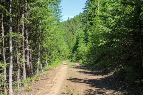 Tract 1 Pardee Flat Road, Superior, MT 59872 photo 3