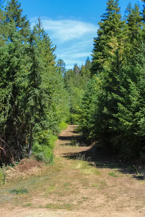 Tract 1 Pardee Flat Road, Superior, MT 59872 photo 6